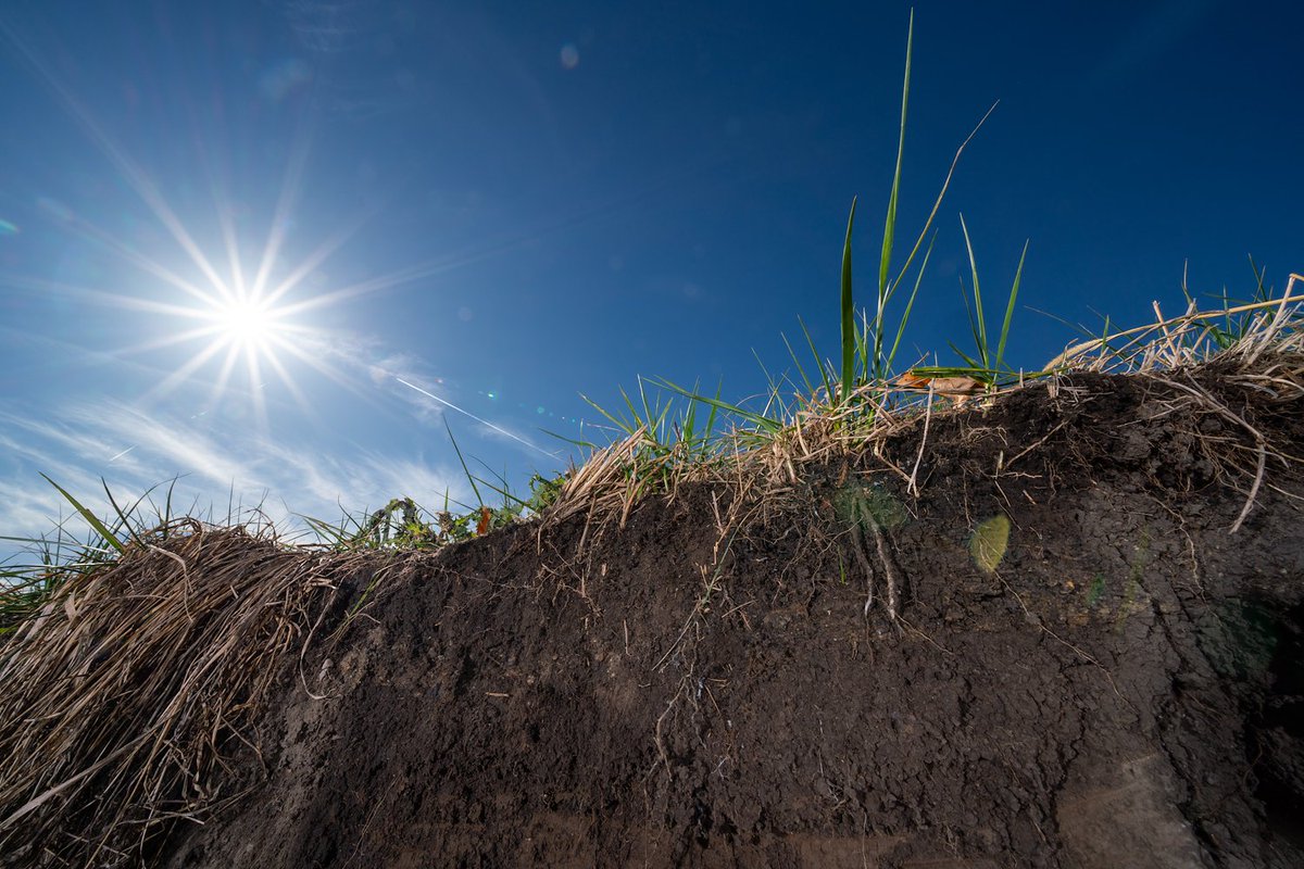 Purdue Agriculture tweet media