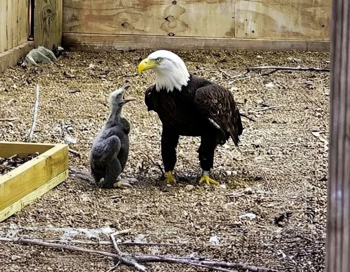 Mr PitBull tweet media