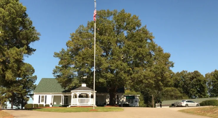 Pee Dee Electric NC tweet media