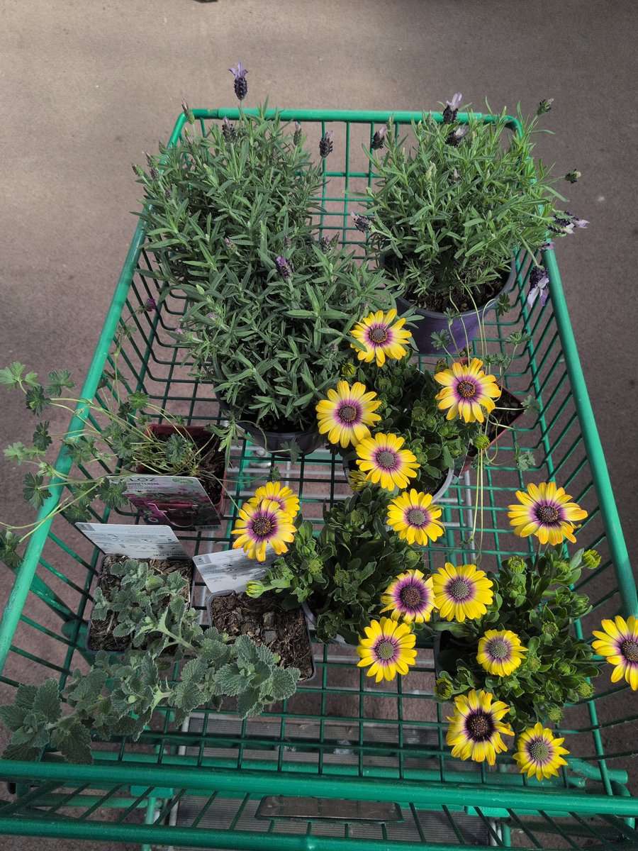 StavMat ✈️ tweet media