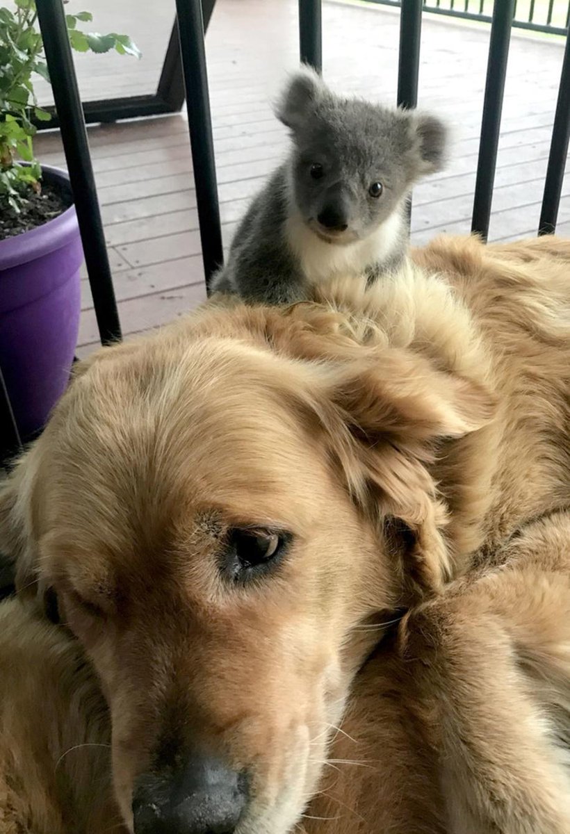 Businessman tweet media