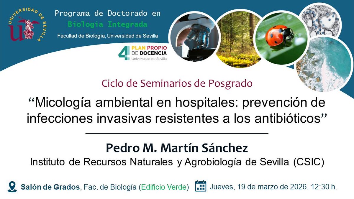 IRNAS Sevilla tweet media