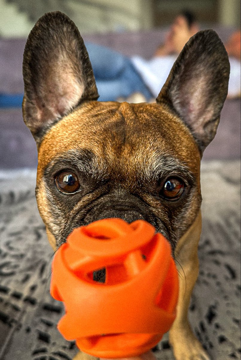 Pinot & Merlot tweet media