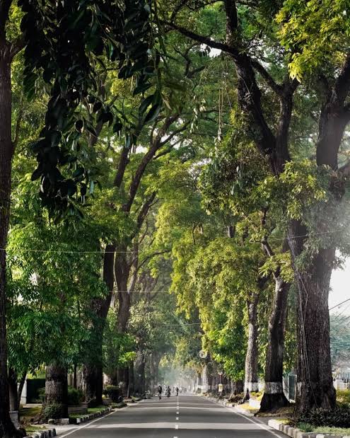 mabuk rayuanmu tweet media