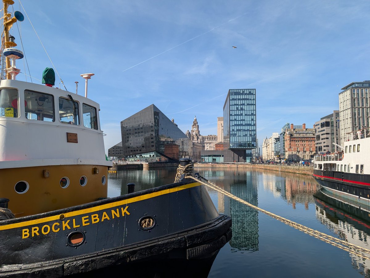 Fred Caldeira tweet media