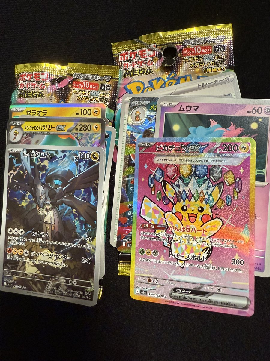 北の国のギャンブラー tweet media