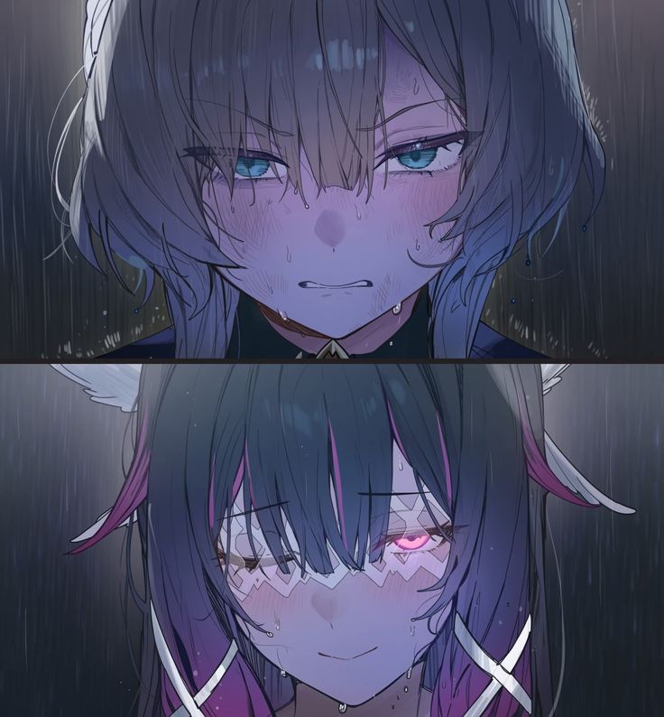 acervo sandbina tweet media