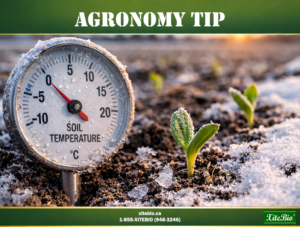 XiteBio Technologies tweet media