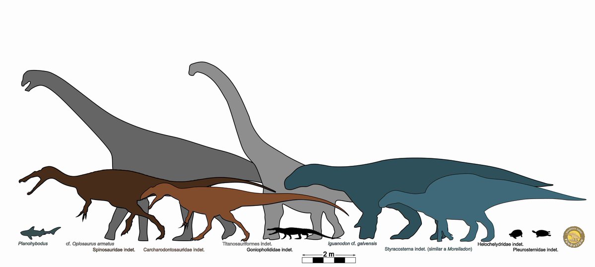 Fundación Dinópolis tweet media