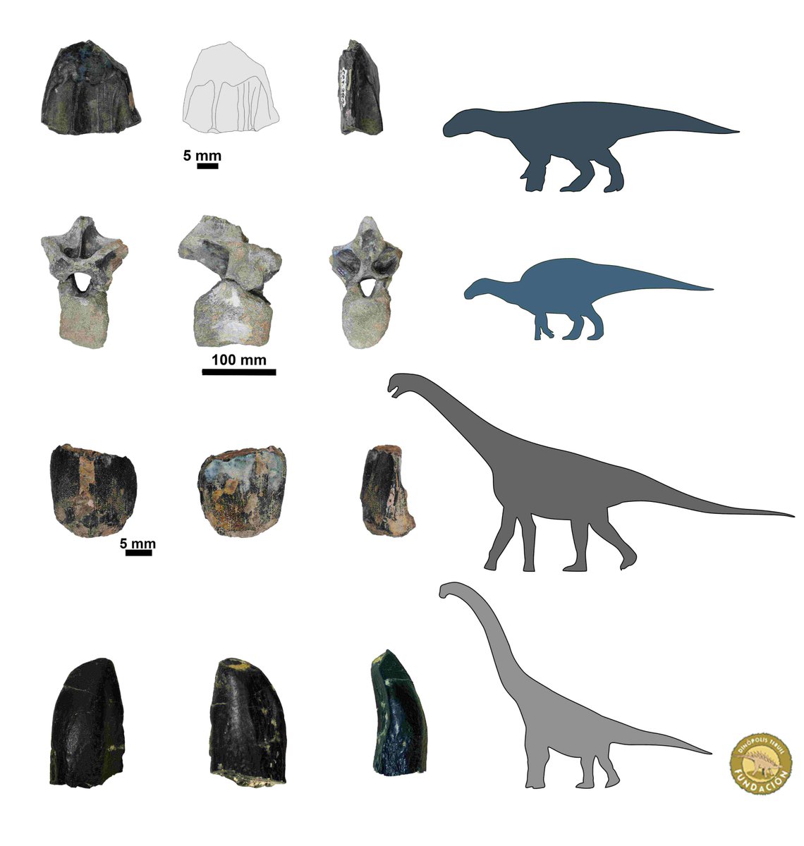 Fundación Dinópolis tweet media