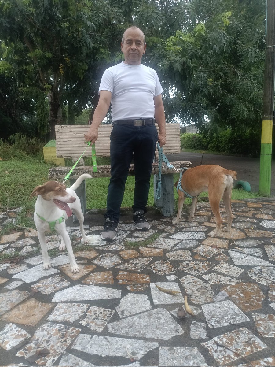 el_rincon22's tweet photo. Hoy en mis cumples Mi Primo Leo acompañándome en los Paseos Canexpress Tu Mejor Aliado 🐕🐕🐕🐕 https://t.co/MiakO3iDj2