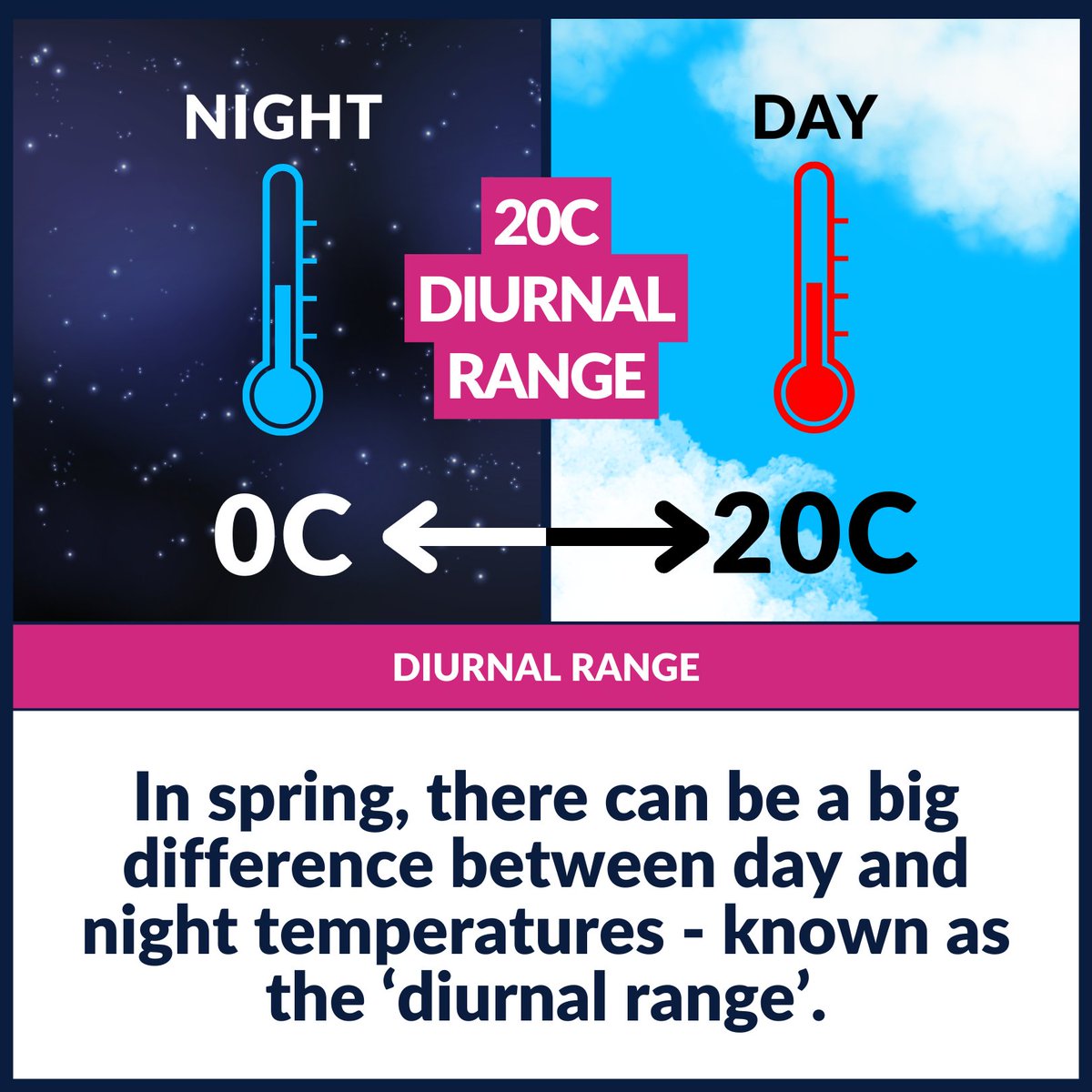 Liam Dutton tweet media