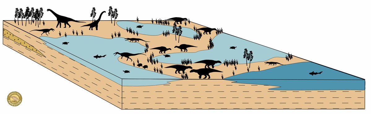 Fundación Dinópolis tweet media