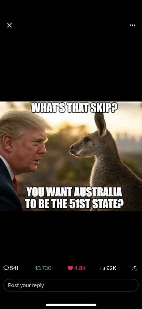 Raynbird tweet media