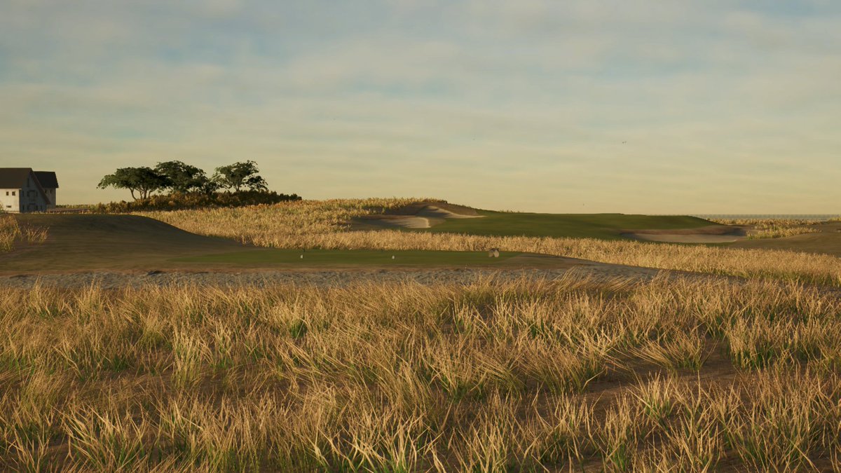 mattyfromcanada tweet media