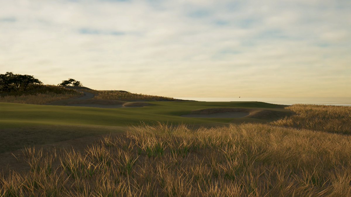 mattyfromcanada tweet media