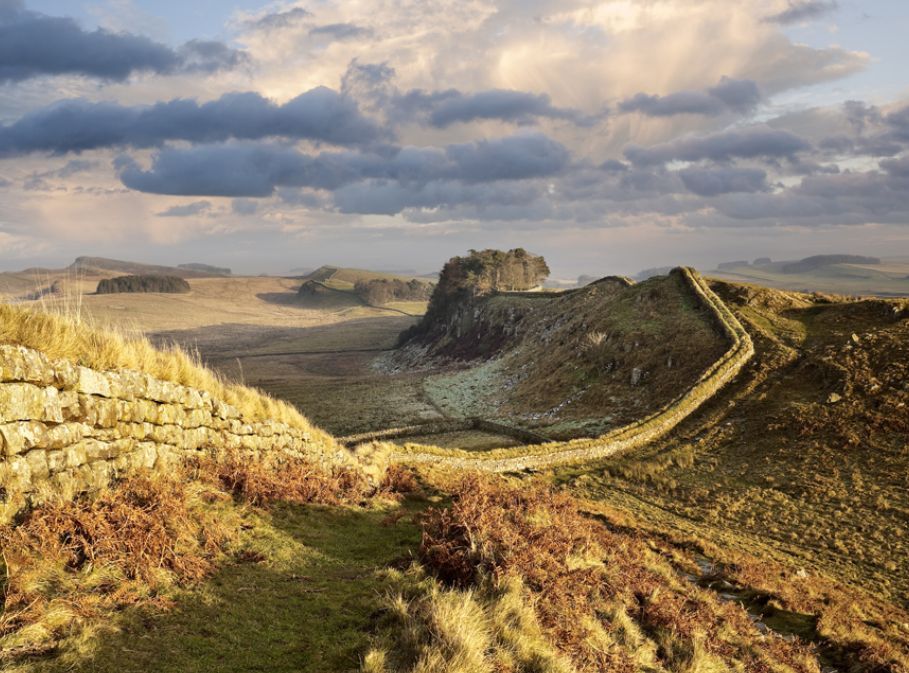 B&B Stays tweet media