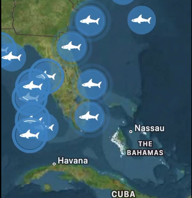 Branch Floridian tweet media