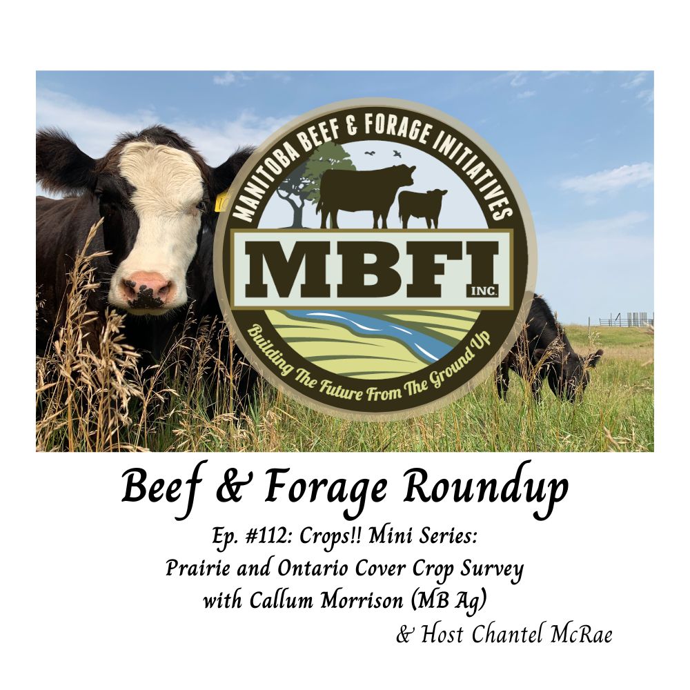 Manitoba Beef & Forage Initiatives tweet media