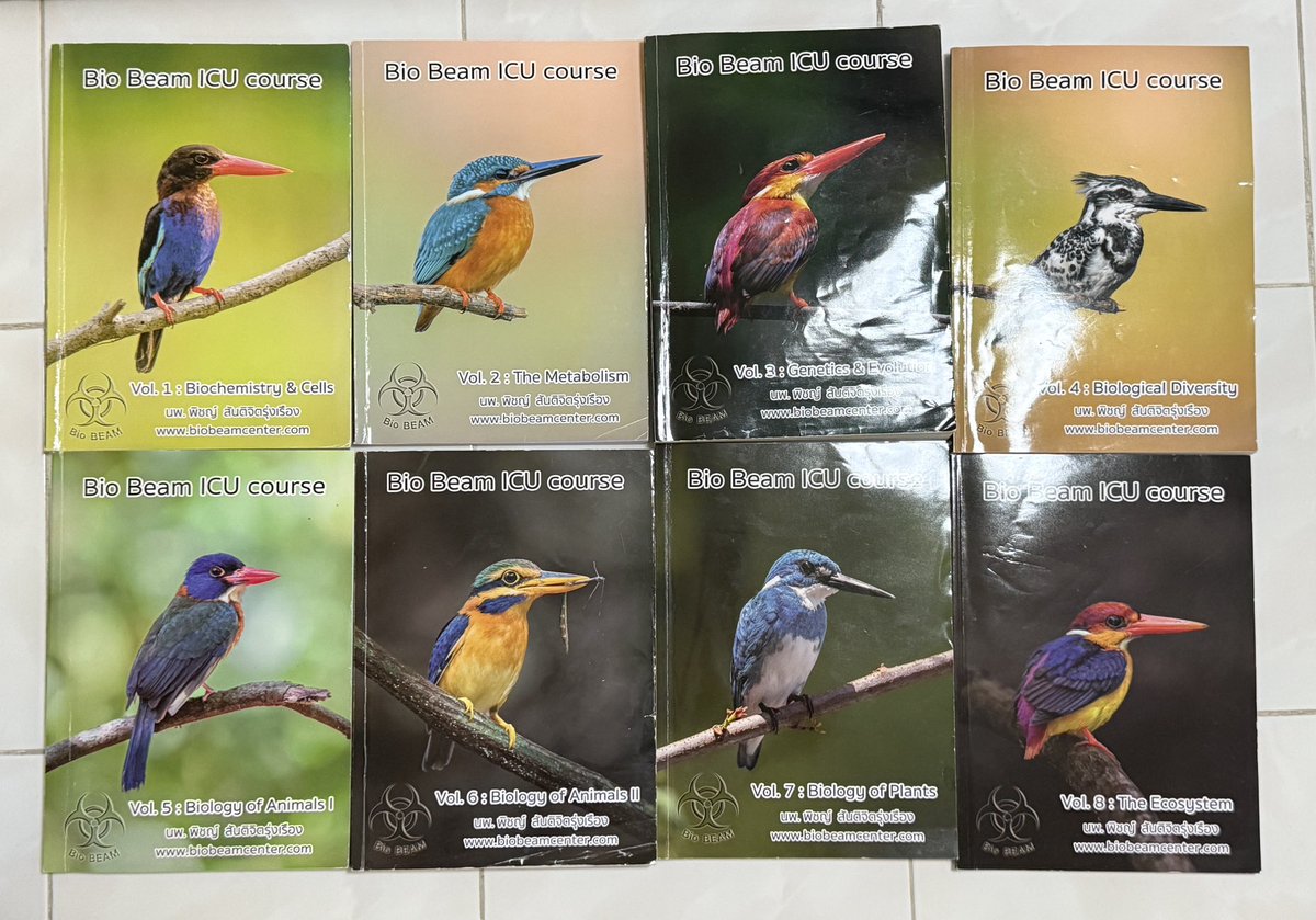 𝑐𝑢𝑡𝑖𝑒🪞🎠 tweet media