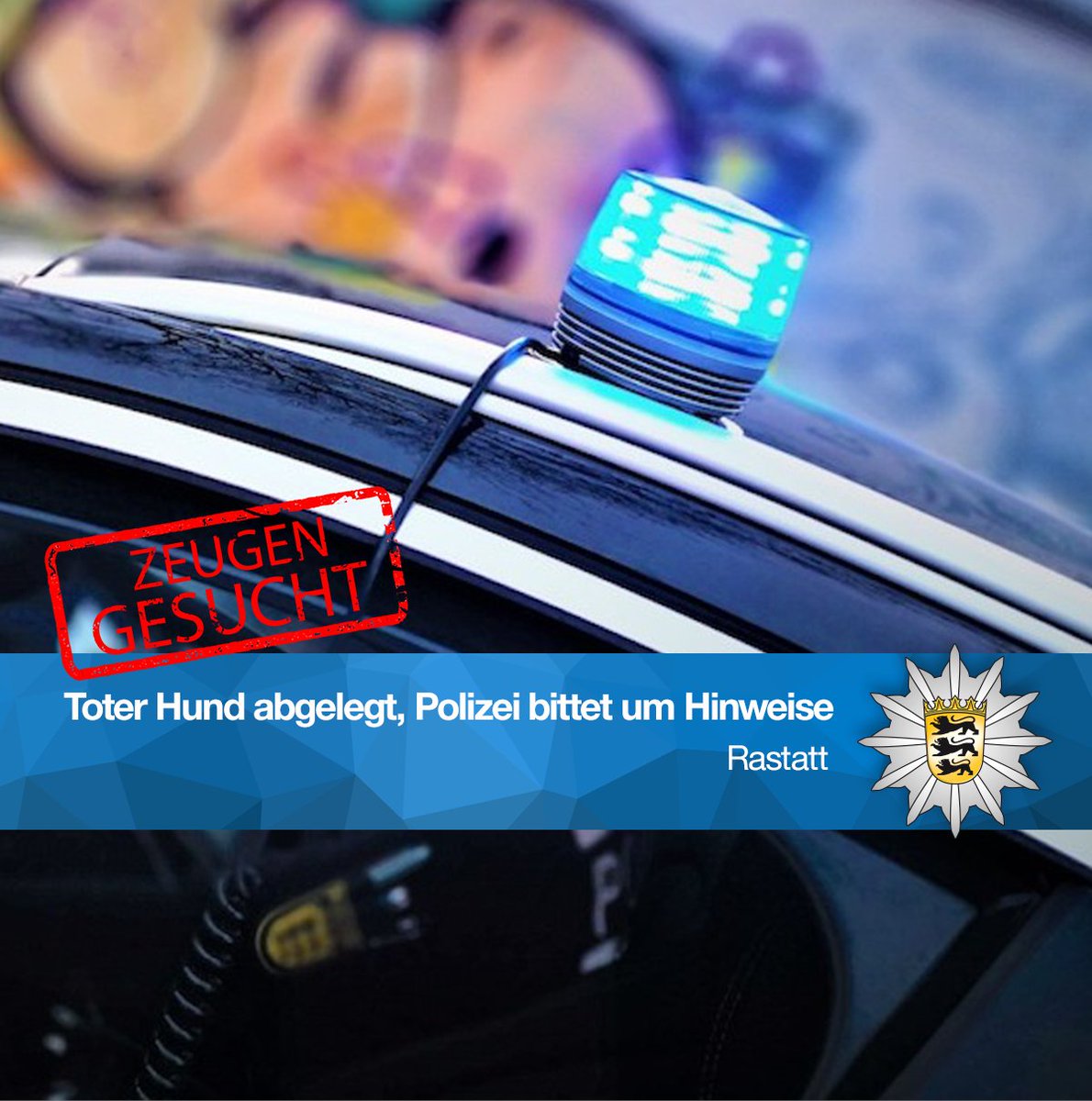 Polizei Offenburg tweet media