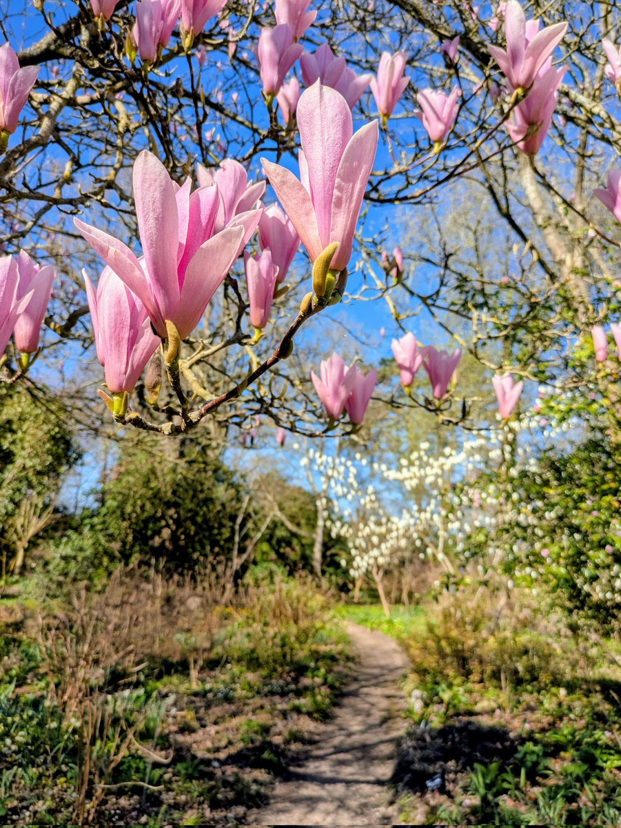 Guy Barter tweet media