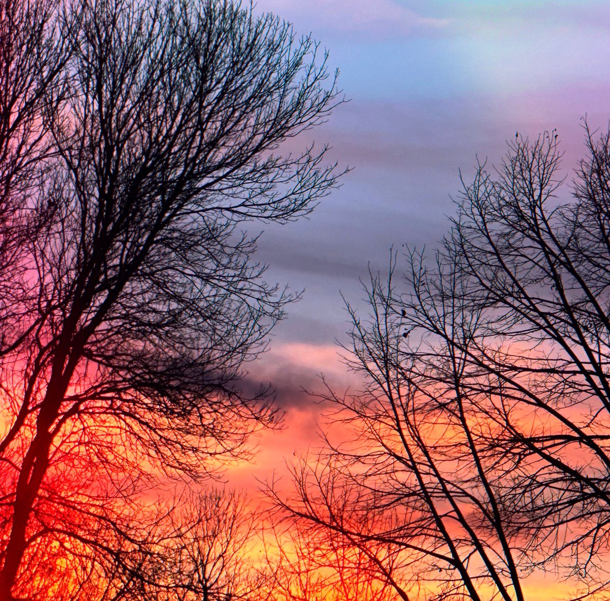 Skies 💕 tweet media