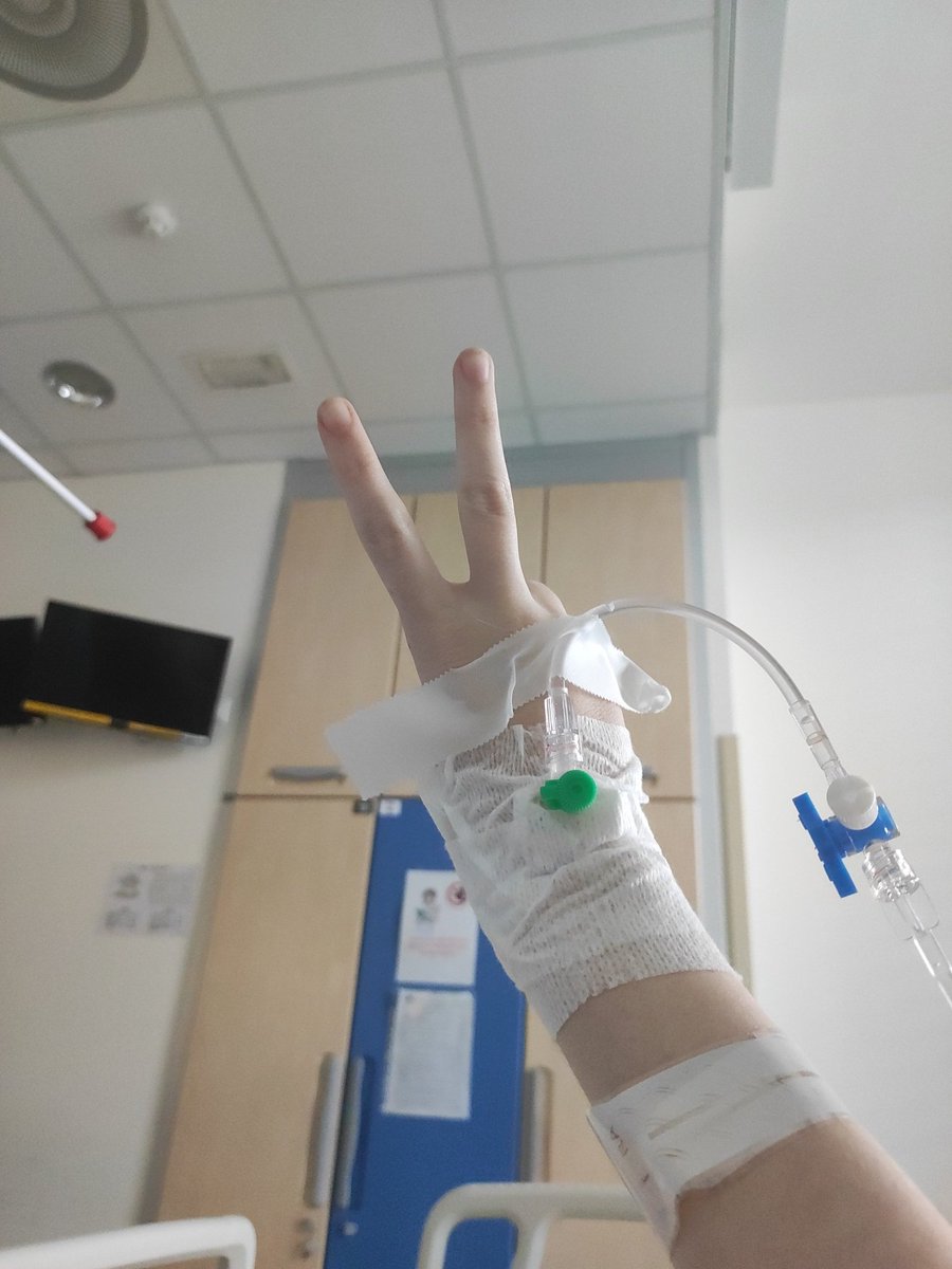 Maxie || Caitvi kitties au !! tweet media