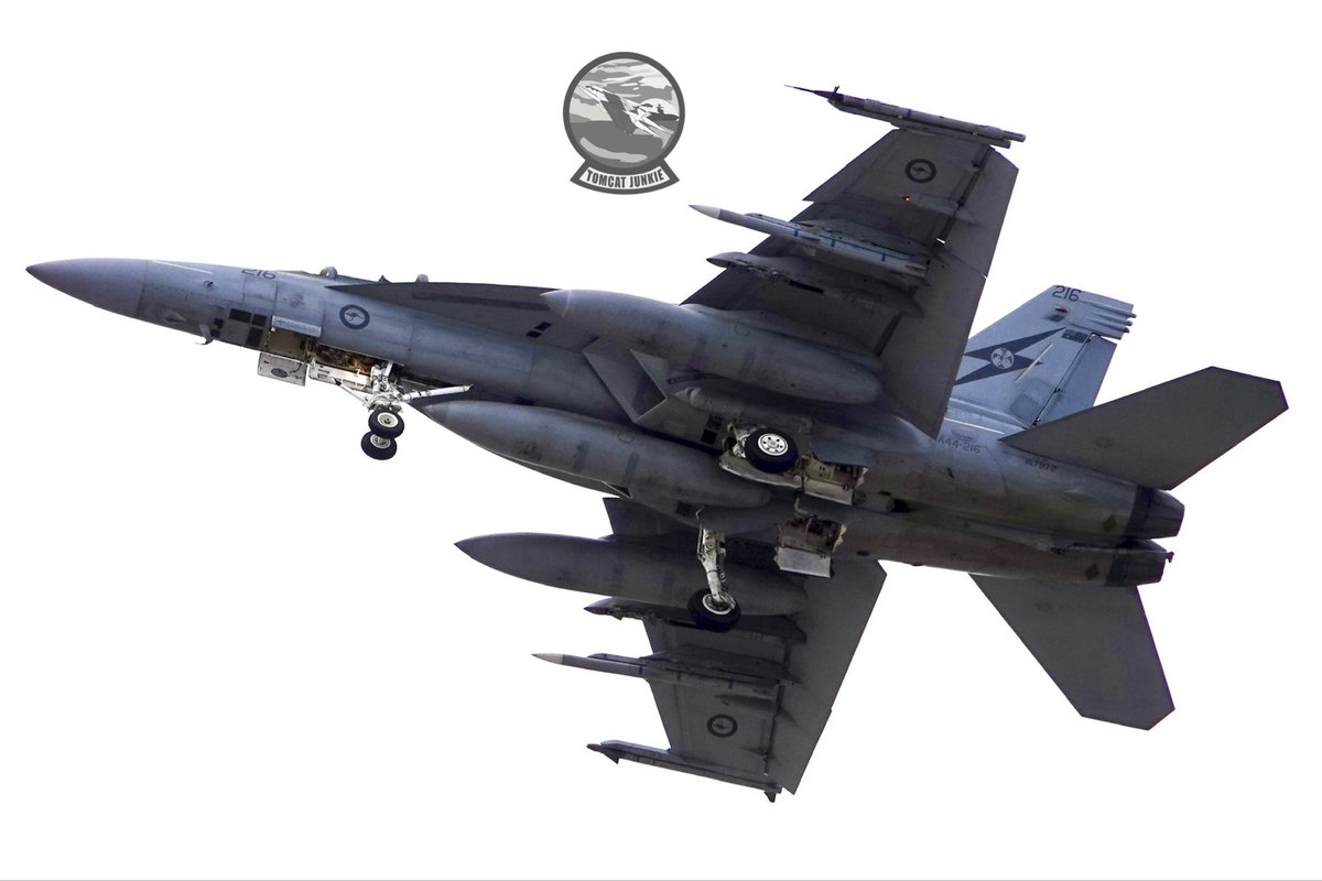 TomcatJunkie🏴‍☠️ tweet media