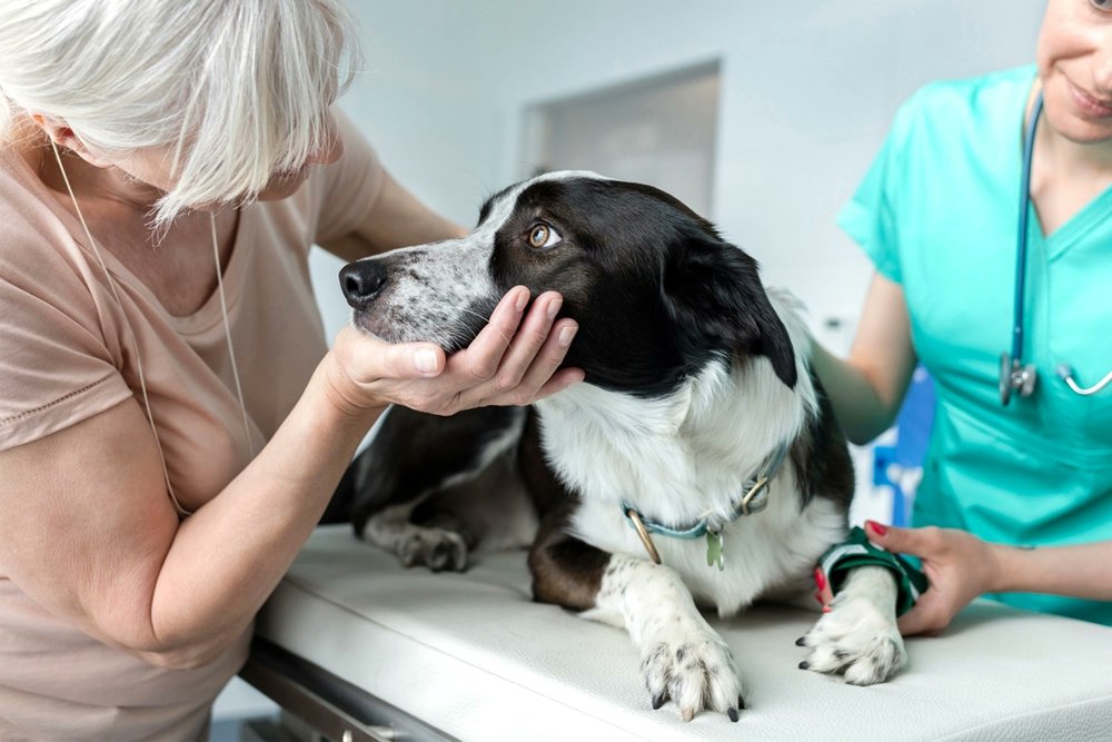 Diego Barceló Larran (Economista) tweet media