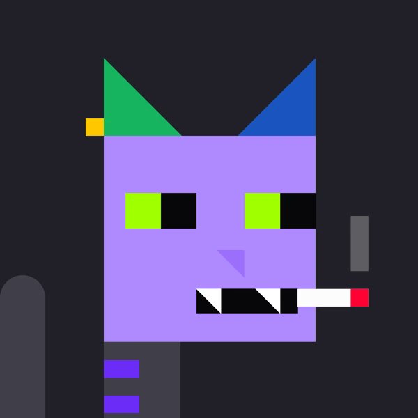 Natcats Bot tweet media