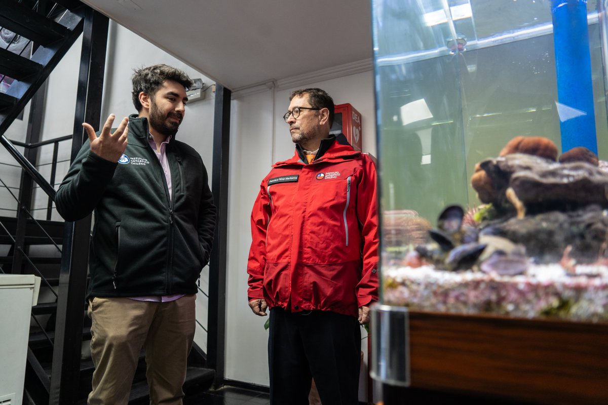 Cancillería Chile 🇨🇱 tweet media