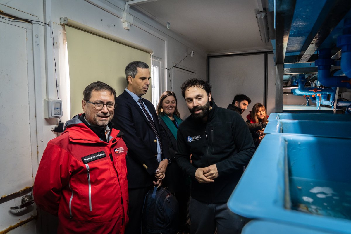 Cancillería Chile 🇨🇱 tweet media