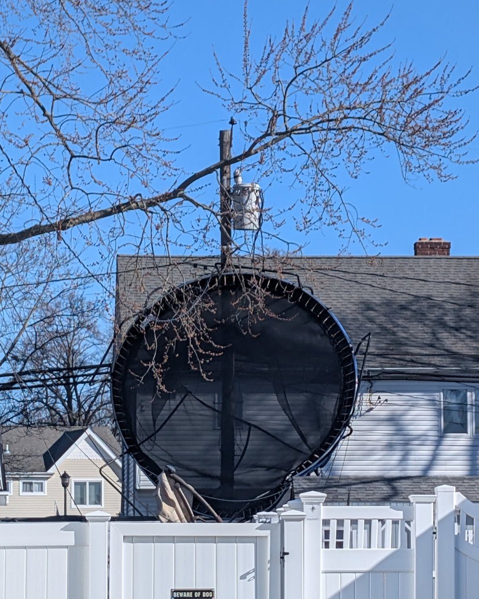 PSEG Long Island tweet media