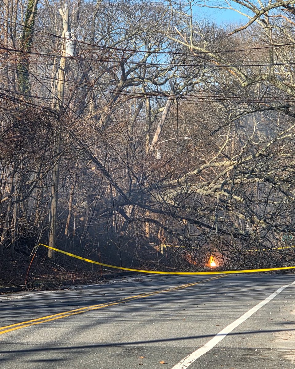 PSEG Long Island tweet media