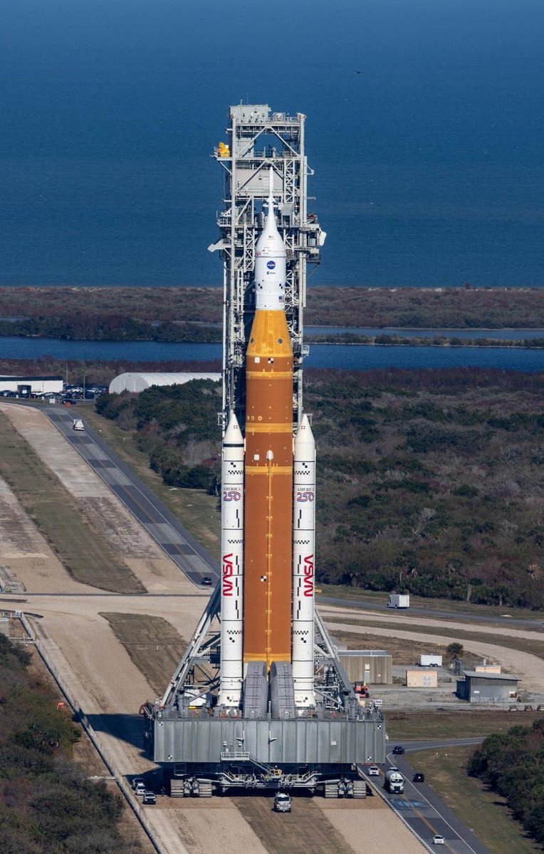 Space Nøsey tweet media