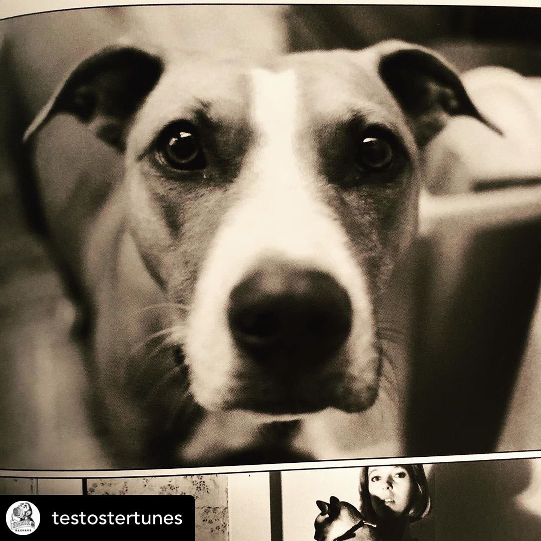 Ian Christe tweet media