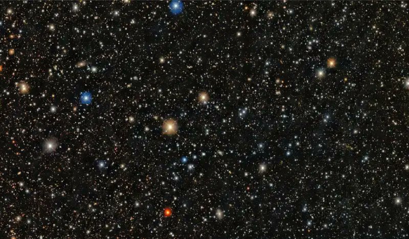 Erika  tweet media