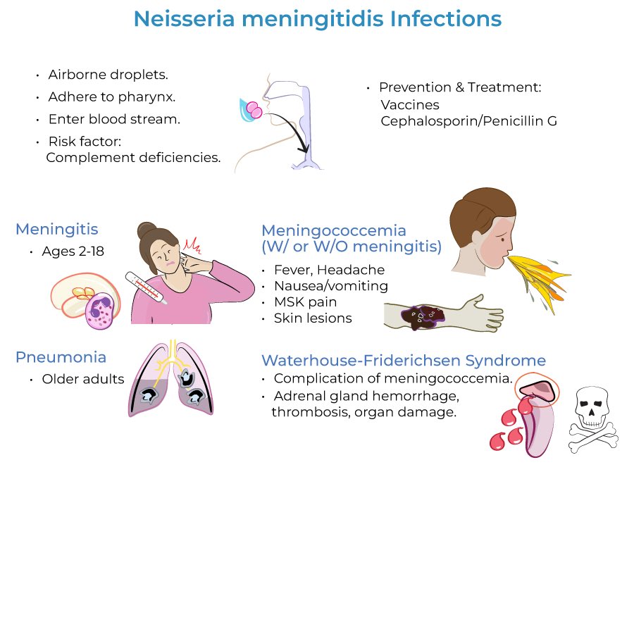 Ayman Alatas tweet media