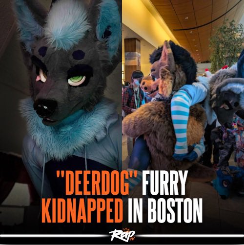 The Busy Blue DeerDog tweet media