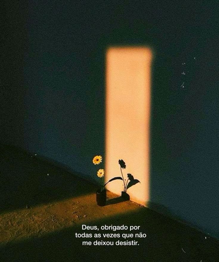 Frases e Versos tweet media