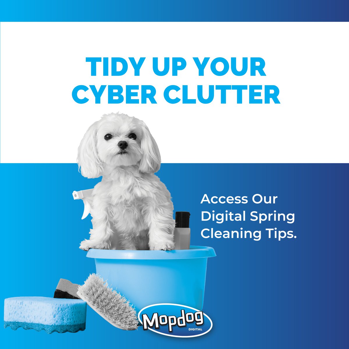 MopdogDigital's tweet photo. Happy Spring! Mopdog Digital is sharing our guide to digital spring cleaning to help your business stay safe and fresh. We can help your business tidy up its cyber clutter and secure your digital systems. Learn more: https://t.co/e558iV1ci8 https://t.co/C2dy66oRIj