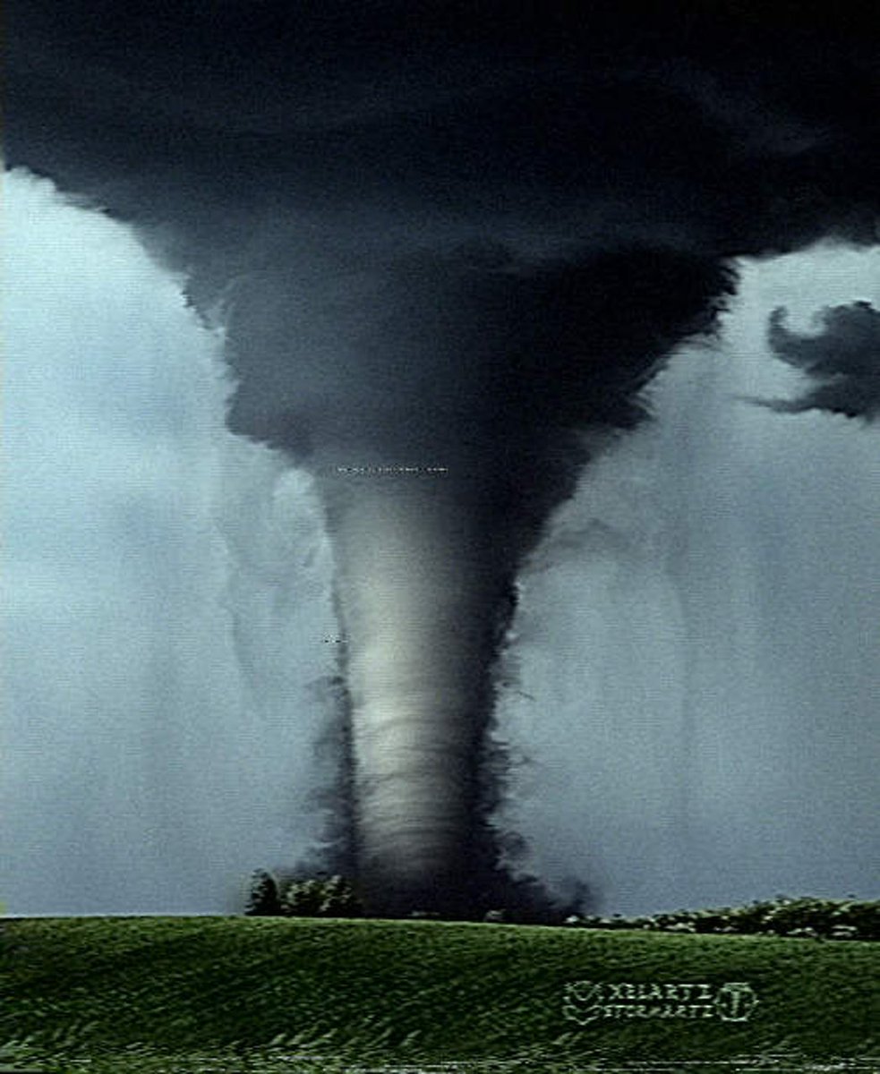 StormArtz - XelArtz tweet media