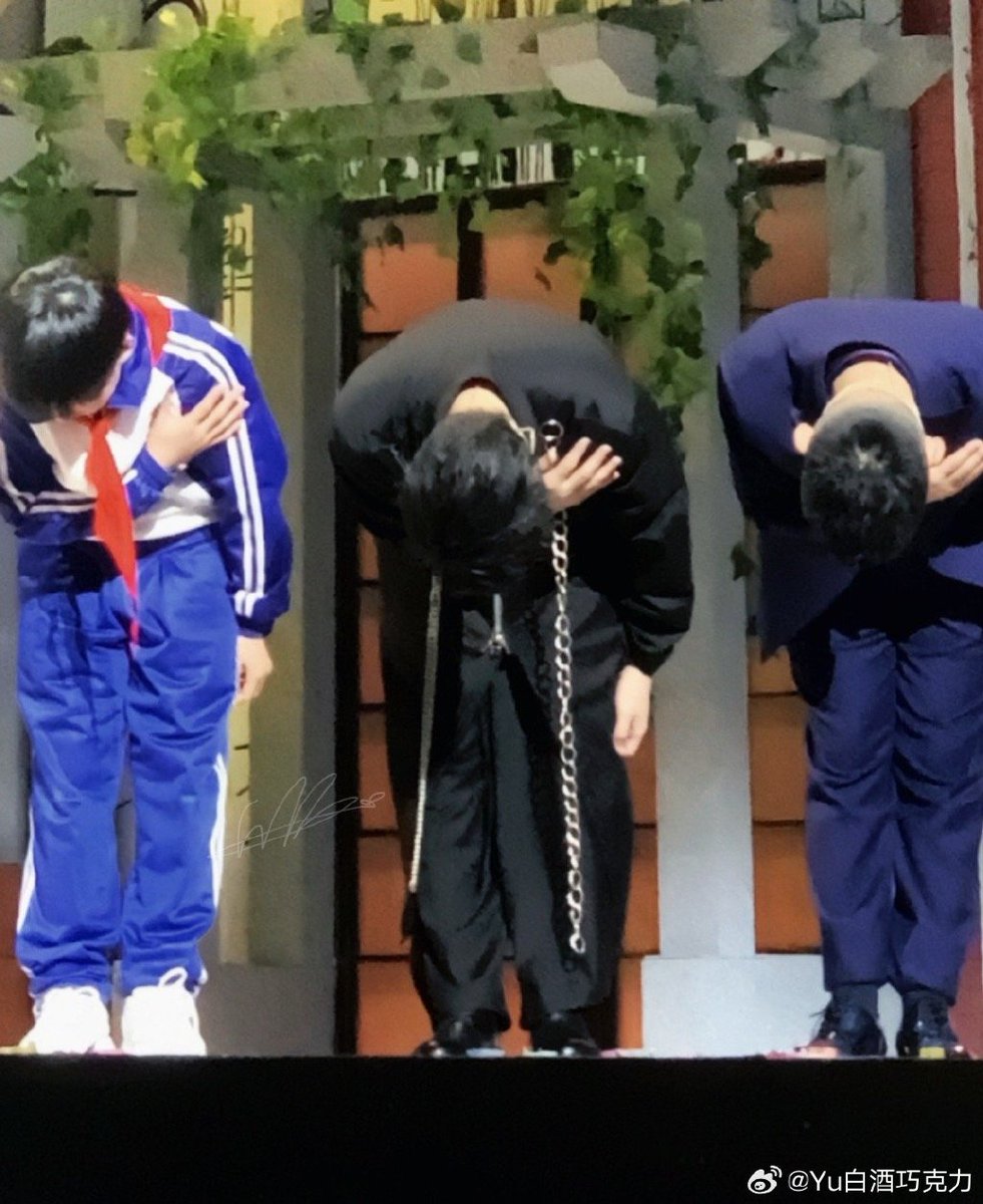 jacinta ireland tweet media