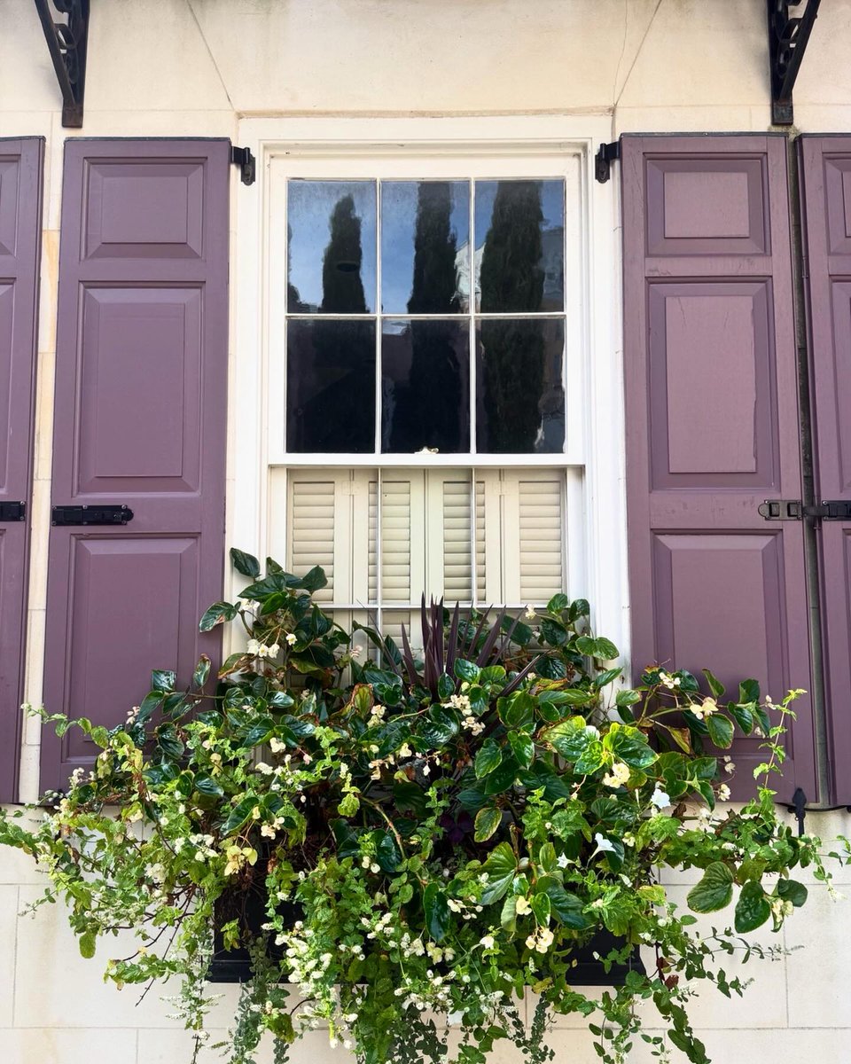 Explore Charleston tweet media