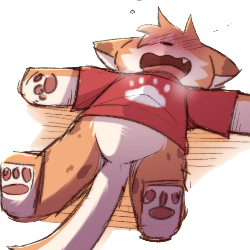 Kima 🍊💦(Back to work🐾) tweet media