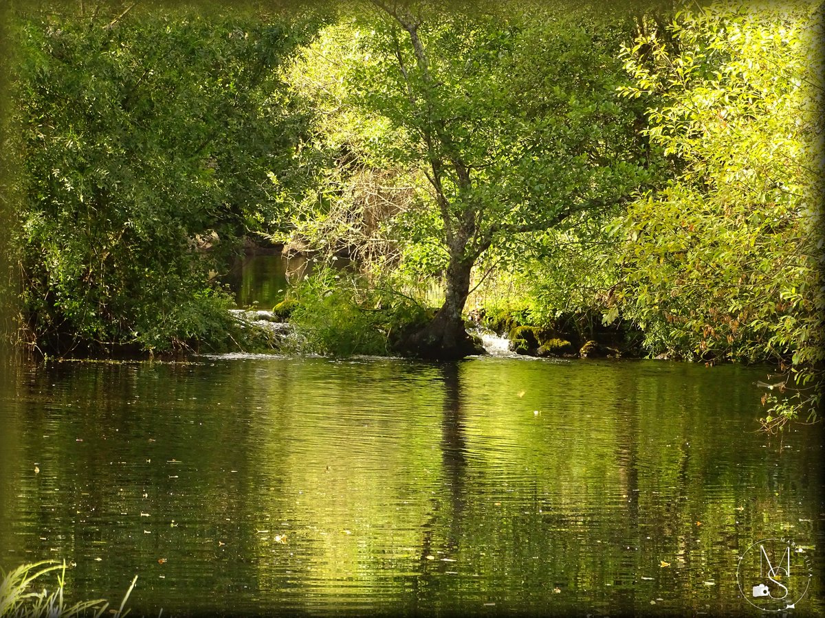 Mário Silva - Fotografia & Pintura tweet media