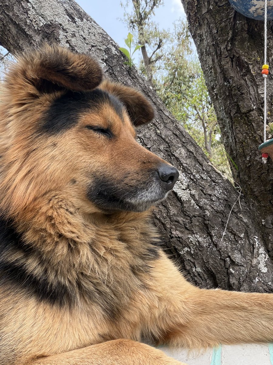 seeκa 🦌 tweet media