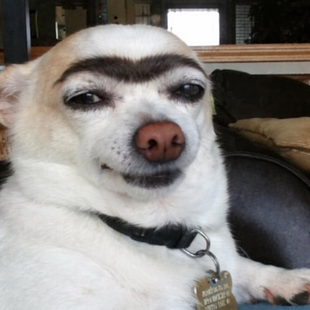 Marius Off🔗Chain tweet media