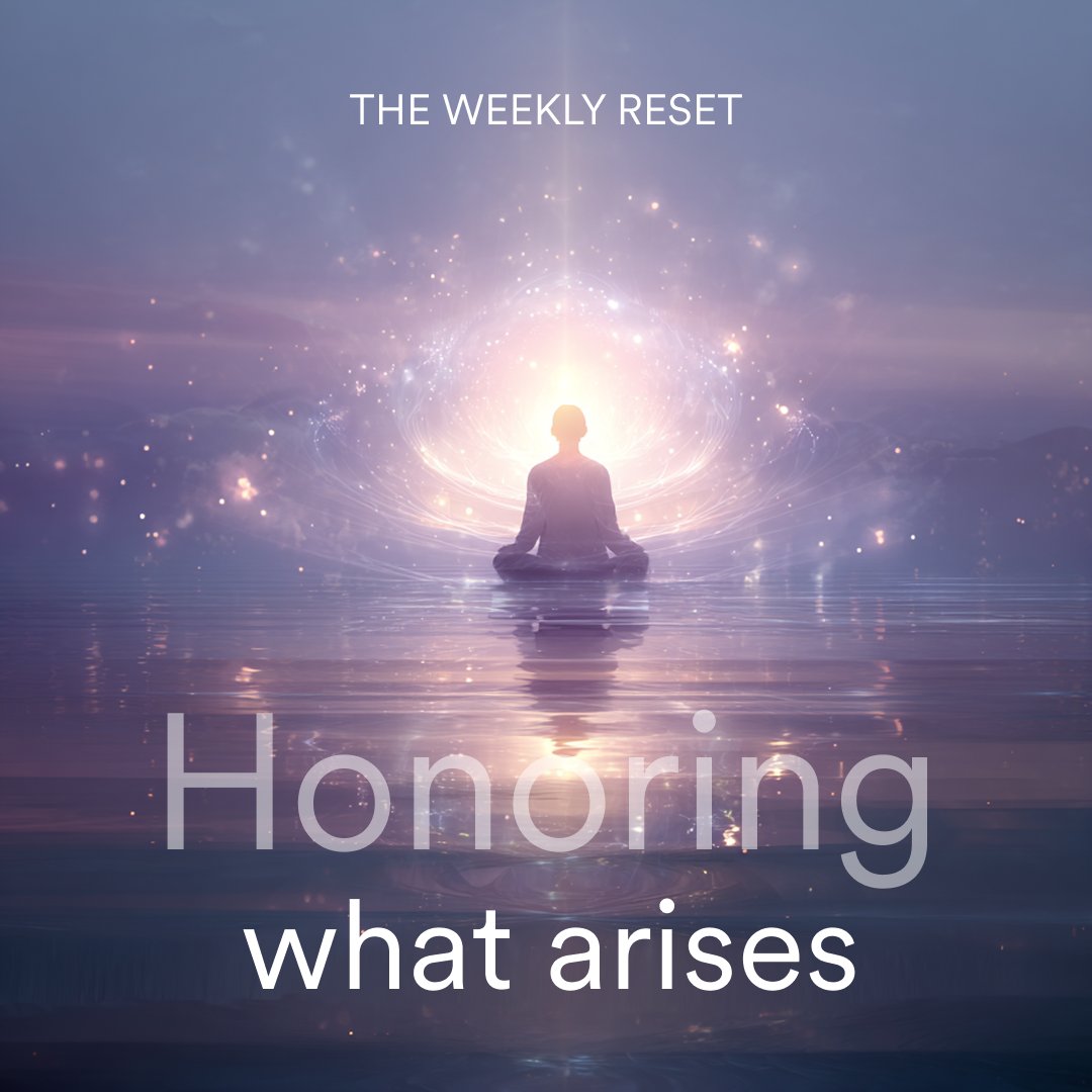 TRIPP Wellness tweet media